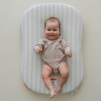 Infant Lounger Muslin Cover | Sky stripe