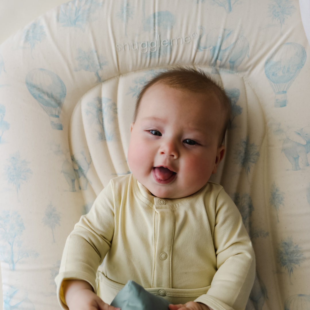 Infant Lounger Wave | Blue Toile